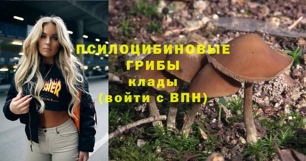 синтетический гашиш Беломорск