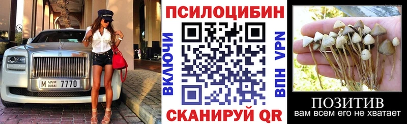 ОМГ ОМГ онион  Городище  Галлюциногенные грибы прущие грибы 